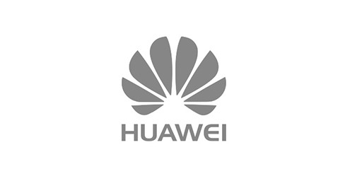 Huawei RAM partner Huawei RAM partner